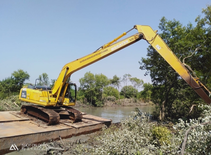 Lebar Sungai di Mangrove Wonorejo Berkurang, Pemkot Surabaya Lakukan Normalisasi