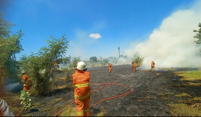 Perhatian, Warga Jangan Bakar Alang-Alang Sembarangan