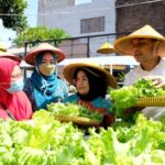 Pemkot Surabaya Kembangkan Kampung Sayur