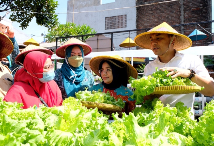 Pemkot Surabaya Kembangkan Kampung Sayur