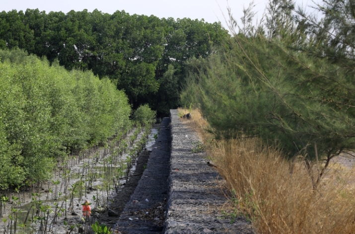 Surabaya Kota Pertama di Indonesia Penerima Wetland City Accreditation