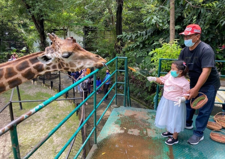 Fantastis, Pengunjung KBS Tembus 15 Ribu Orang di Libur Lebaran 