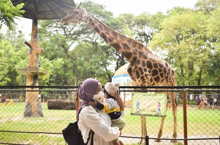 Kesejahteraan Hewan Dipastikan Terpenuhi, Sebelum Dibuka Night Zoo KBS