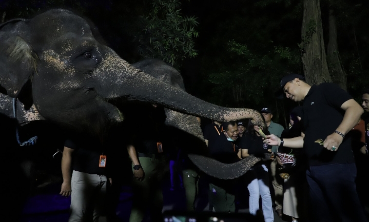 KBS Gelar Trial Opening Surabaya Night Zoo
