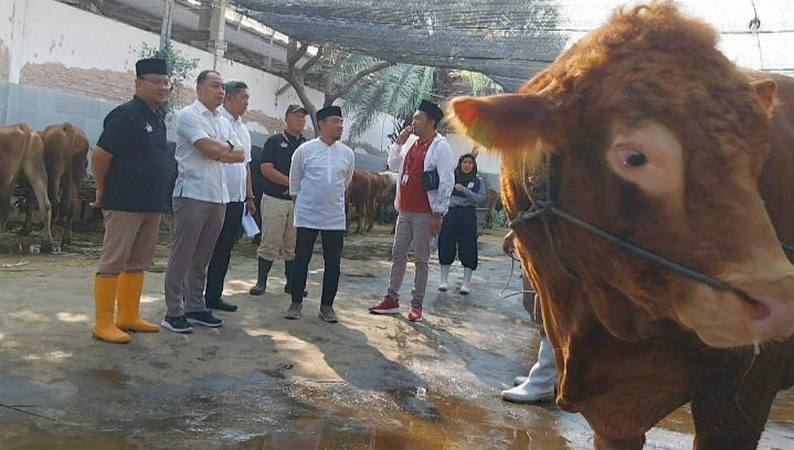 Walikota Eri Cahyadi Sumbang Belasan Sapi Besar Untuk Warga Surabaya