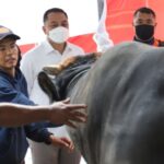 Walikota Eri Cahyadi Imbau Warga Tak Buang Limbah Rumen Hewan Kurban di Sungai