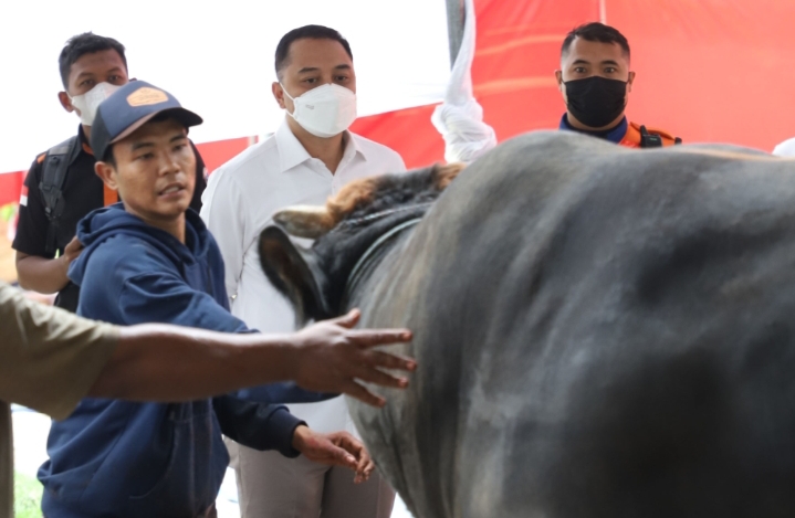 Walikota Eri Cahyadi Imbau Warga Tak Buang Limbah Rumen Hewan Kurban di Sungai