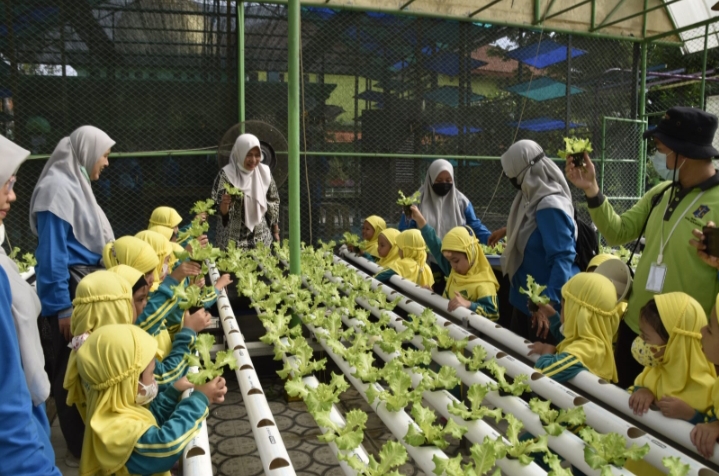 Mini Agrowisata Surabaya Jadi Destinasi Edukasi Favorit Anak-Anak