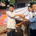 PKS Kota Surabaya Bagikan 8.800 Paket Daging Kurban