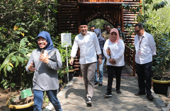 Kebun Raya Mangrove Akan Diresmikan Megawati Soekarnoputri, Wali Kota Eri: Sudah 99,99 Persen