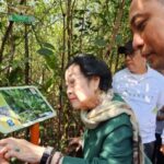 Di hadapan Megawati, Eri Cahyadi Sebut Kebun Raya Mangrove Surabaya Jadi Sarana Edukasi Wisata