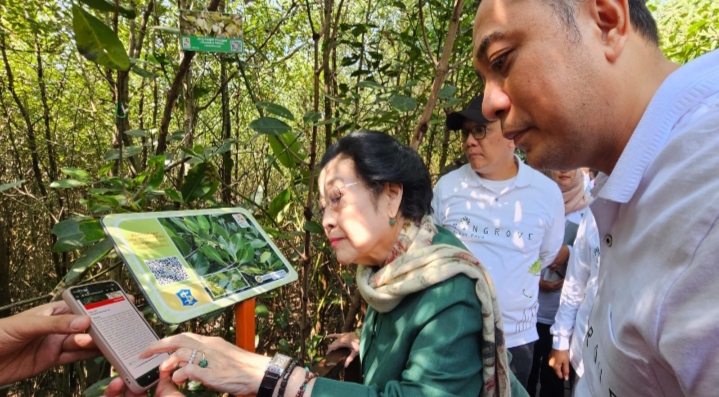 Di hadapan Megawati, Eri Cahyadi Sebut Kebun Raya Mangrove Surabaya Jadi Sarana Edukasi Wisata