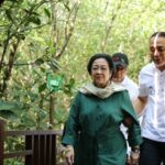 Bertepatan Hari Mangrove Sedunia, Megawati Resmikan Kebun Raya Mangrove Surabaya