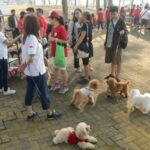 Dihadiri Anggota Dewan dari PSI Josiah Michael, Pawacitra Dog Lover Citraland Gelar ‘Fun Pawrade Dogs Walk 2023’