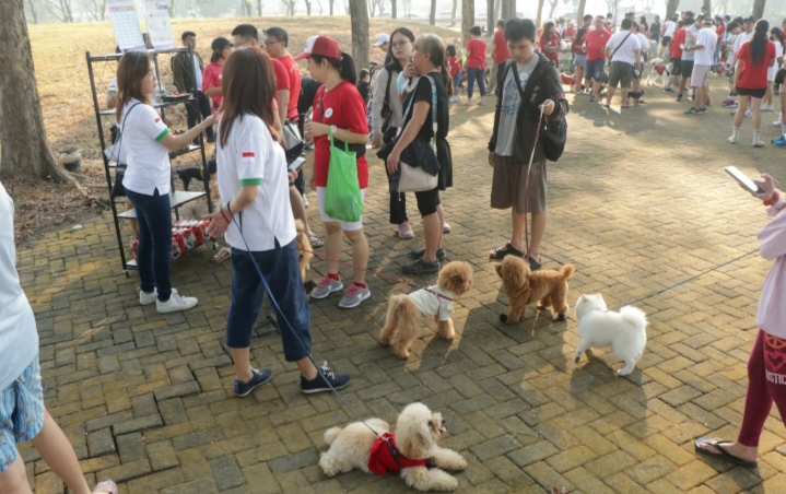 Dihadiri Anggota Dewan dari PSI Josiah Michael, Pawacitra Dog Lover Citraland Gelar ‘Fun Pawrade Dogs Walk 2023’