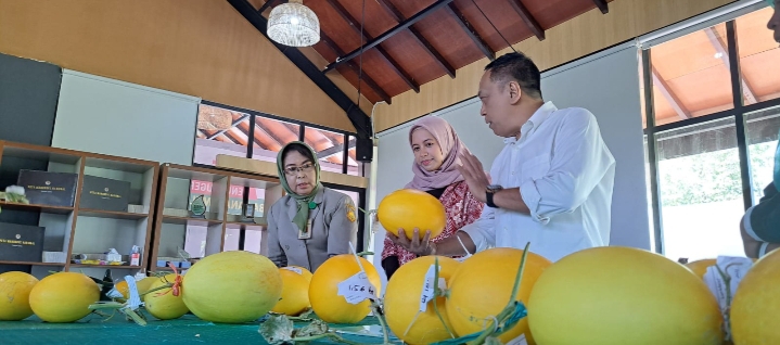 Urban Farming Golden Melon Digalakan di Surabaya, Anas Karno: Mampu beri Manfaat Secara Ekonomi