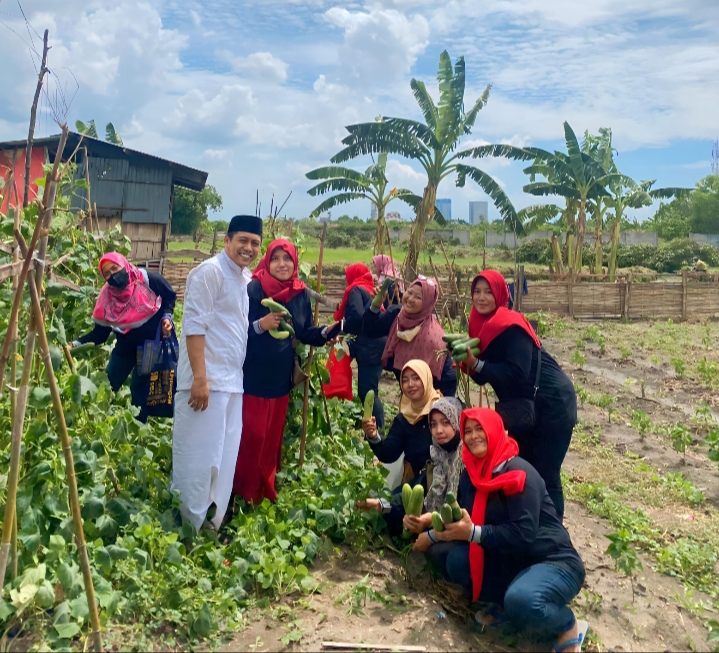 Ketahanan Pangan Mandiri, Abdul Ghoni bersama Emak-Emak dan Warga Bulak Panen Sayuran