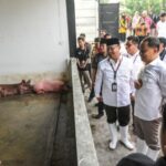 RPH Khusus Babi di Banjarsugihan Mulai Beroperasi