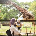 Di Hari Kedua Lebaran, 15 Ribu Wisatawan Kunjungi Kebun Binatang Surabaya