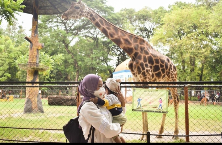 Di Hari Kedua Lebaran, 15 Ribu Wisatawan Kunjungi Kebun Binatang Surabaya