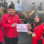Idul Adha 2024, 3 Pilar PDIP Surabaya Gotong Royong Potong 15 Kurban Sapi di RPH Pegirian