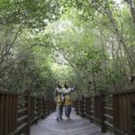 Terlengkap se-Indonesia, Kebun Raya Mangrove Surabaya Miliki 59 Jenis Koleksi Tanaman