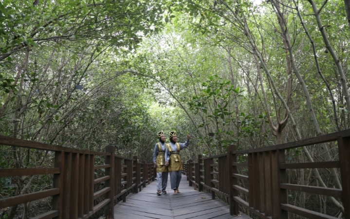 Terlengkap se-Indonesia, Kebun Raya Mangrove Surabaya Miliki 59 Jenis Koleksi Tanaman